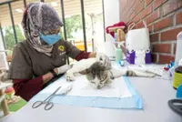 ‘Take humane approach in solving strays crisis’