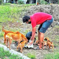 Need to understand canine behaviour, says dog trainer 