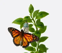 Raising the bar on governance & sustainability