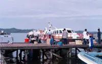 From Pulau Banggi to Geneva