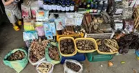 Laos seeks to develop traditional medicine