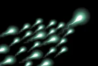 Arrested development of sperm maturation