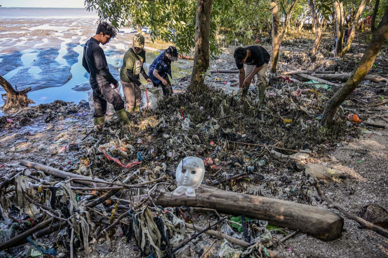 Volunteers from the Ecological Observation and Wetlands Conservation (ECOTON) collect plastic waste from a mangrove swamp in Surabaya during the World Mangrove Day. -- Photo by Juni KRISWANTO / AFP