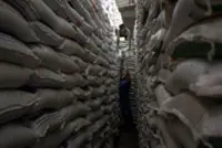 Indonesian Govt to scrap rice quality classification to curb illegal blending