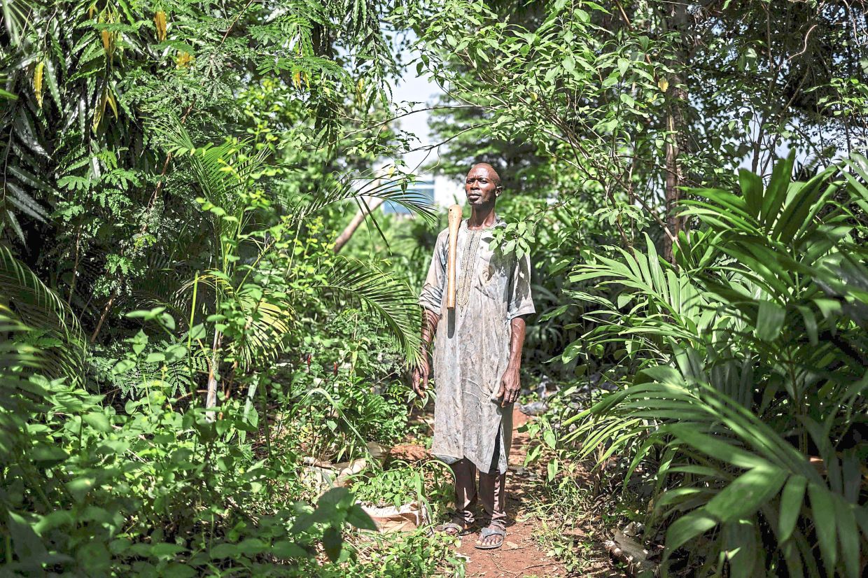 Haruna reminisces over his childhood as birds chirped and frogs croaked in the area.