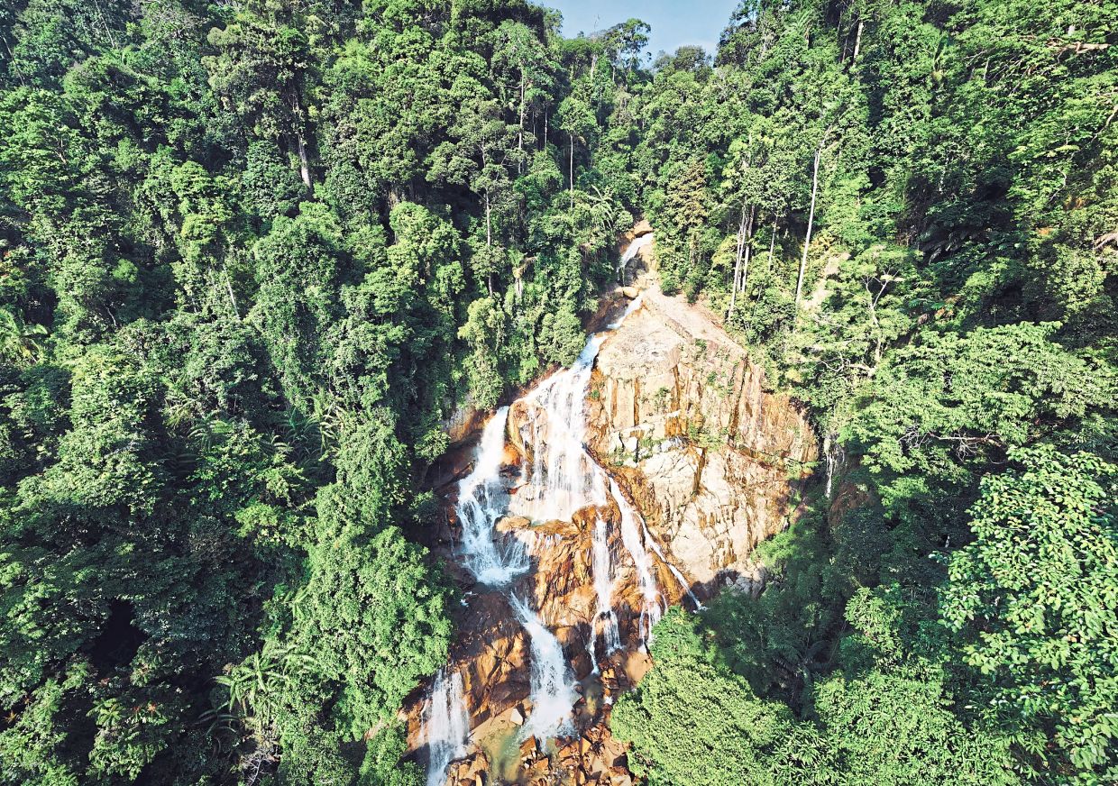 A wide and aerial view reveals the full scale of Seminyang’s terraced power, each tier spilling gracefully into the next, cradled by the dense jungle that keeps its secret well hidden.