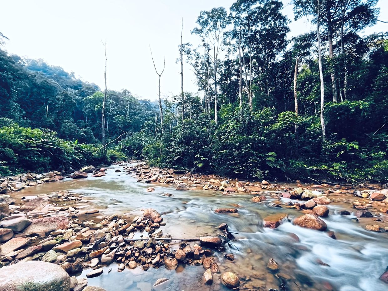 Just below the falls, the river continues its descent, quieter and more gentle now, as if catching its breath.