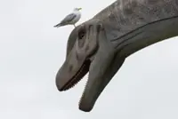 Dinosaurs may have mingled with other species of dino for protection