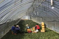Don’t call them ‘hey’: S. Korea widens campaign to address migrant workers by name