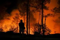 North Sumatra declares state of emergency in seven regencies as forest fires spread