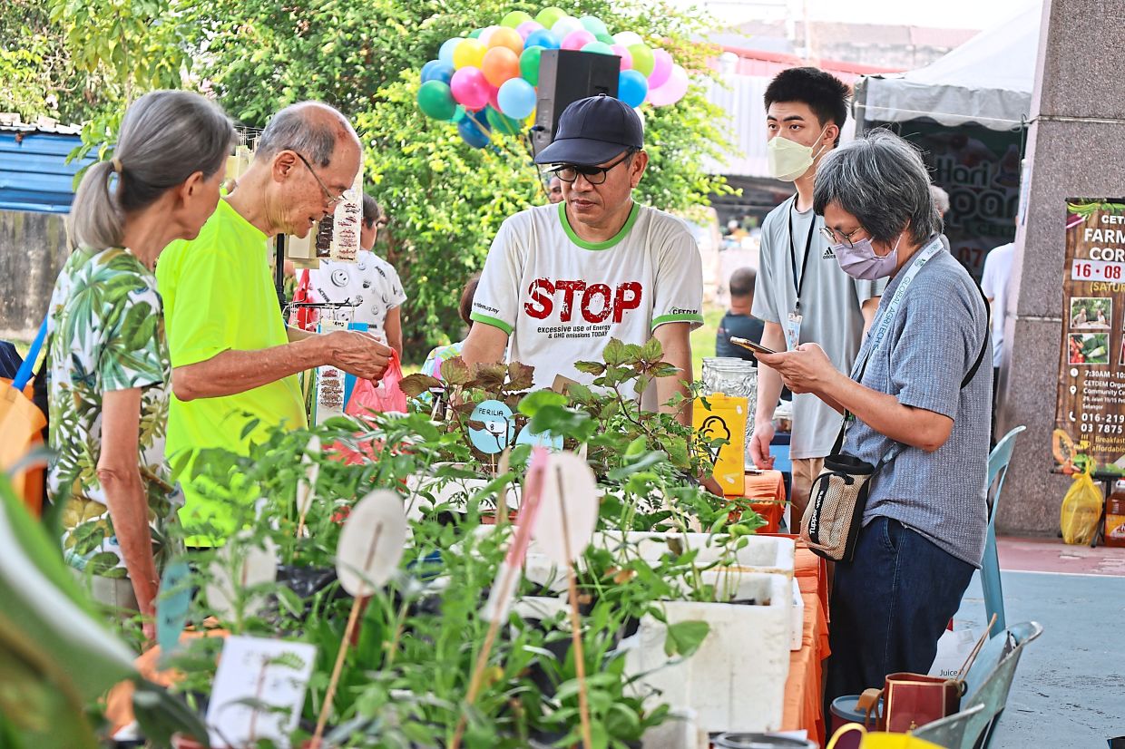 Visitors shopping for fresh produce at the event.