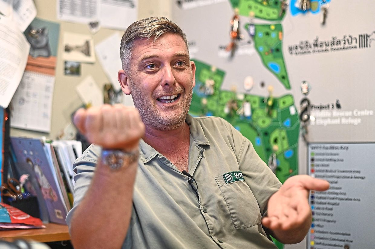 Taylor and his Wildlife Friends Foundation Thailand colleagues have been tracking the rise in lion ownership in the country. 