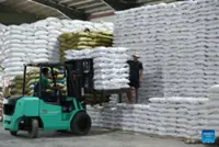 Myanmar rice mills go solar, boosting sustainability, global market appeal