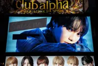 Intimate no more? Japan clamps down on 'host clubs'