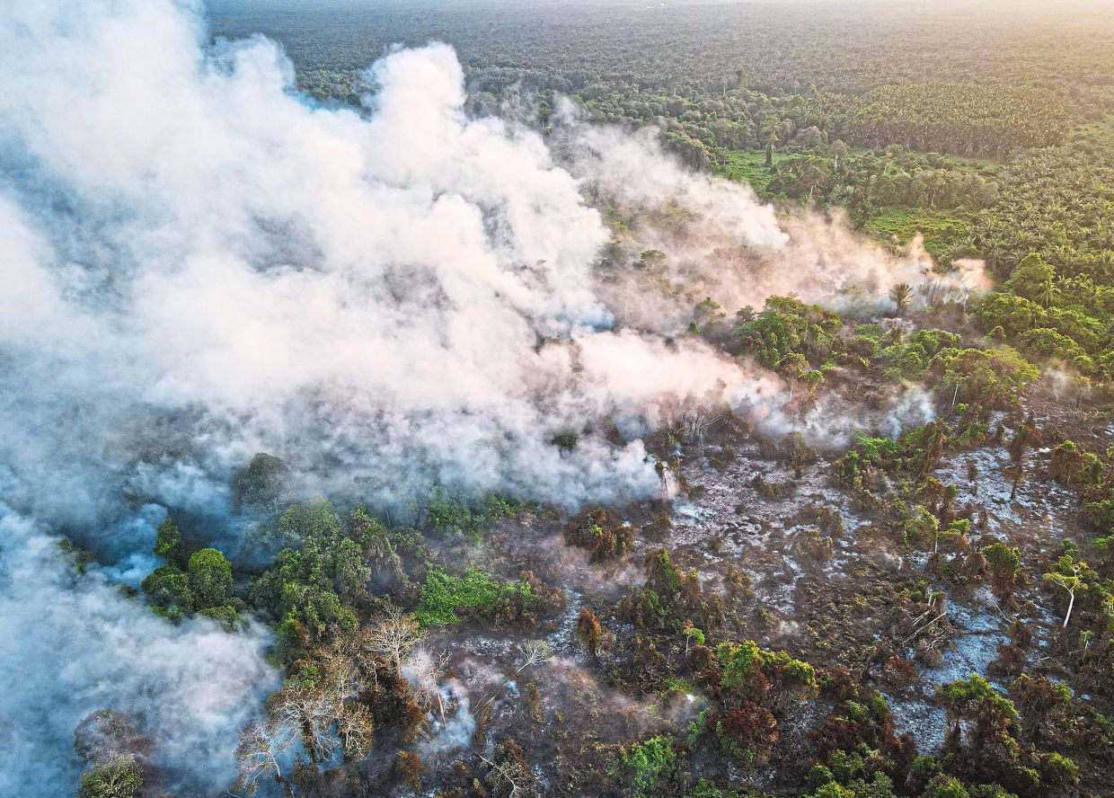 Reduced to ashes: An aerial view of the forest fire near Kampung Senau in Mukah. — ZULAZHAR SHEBLEE/The Star