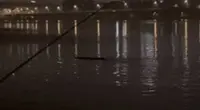 Video of unidentified creature in Seoul’s Han River goes viral