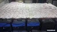 Sri Lanka arrests over 120,000 for drug-related offences so far in 2025