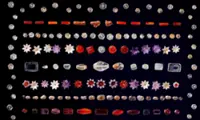 Buddhist gems return to India after 127 years