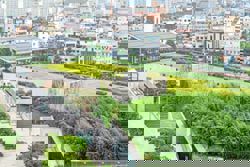 GREENER HORIZONS