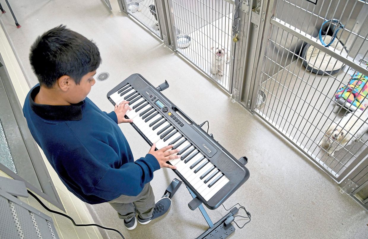Agarwal founded Wild Tunes to soothe stressed shelter animals with live music. He plays the keyboard at the Denver Animal Shelter.