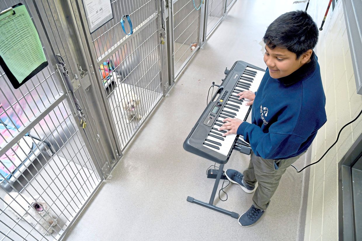 Agarwal founded Wild Tunes to soothe stressed shelter animals with live music. He plays the keyboard at the Denver Animal Shelter.