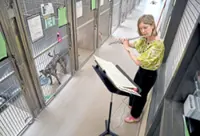 US teen recruits musicians to play at animal shelters