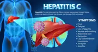 Hepatitis C treatment can be safely shortened