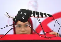 Chikungunya might be about to break out worldwide