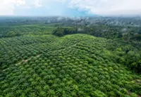 Jitters over Jakarta’s land seizure