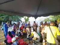 Children stung by jellyfish during open water race in Lumut