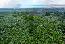 Jitters over Jakarta’s land seizure
