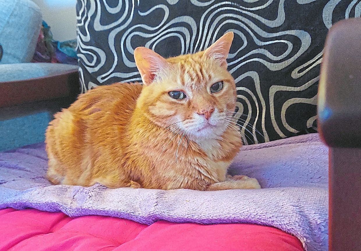 Target has recovered fully.