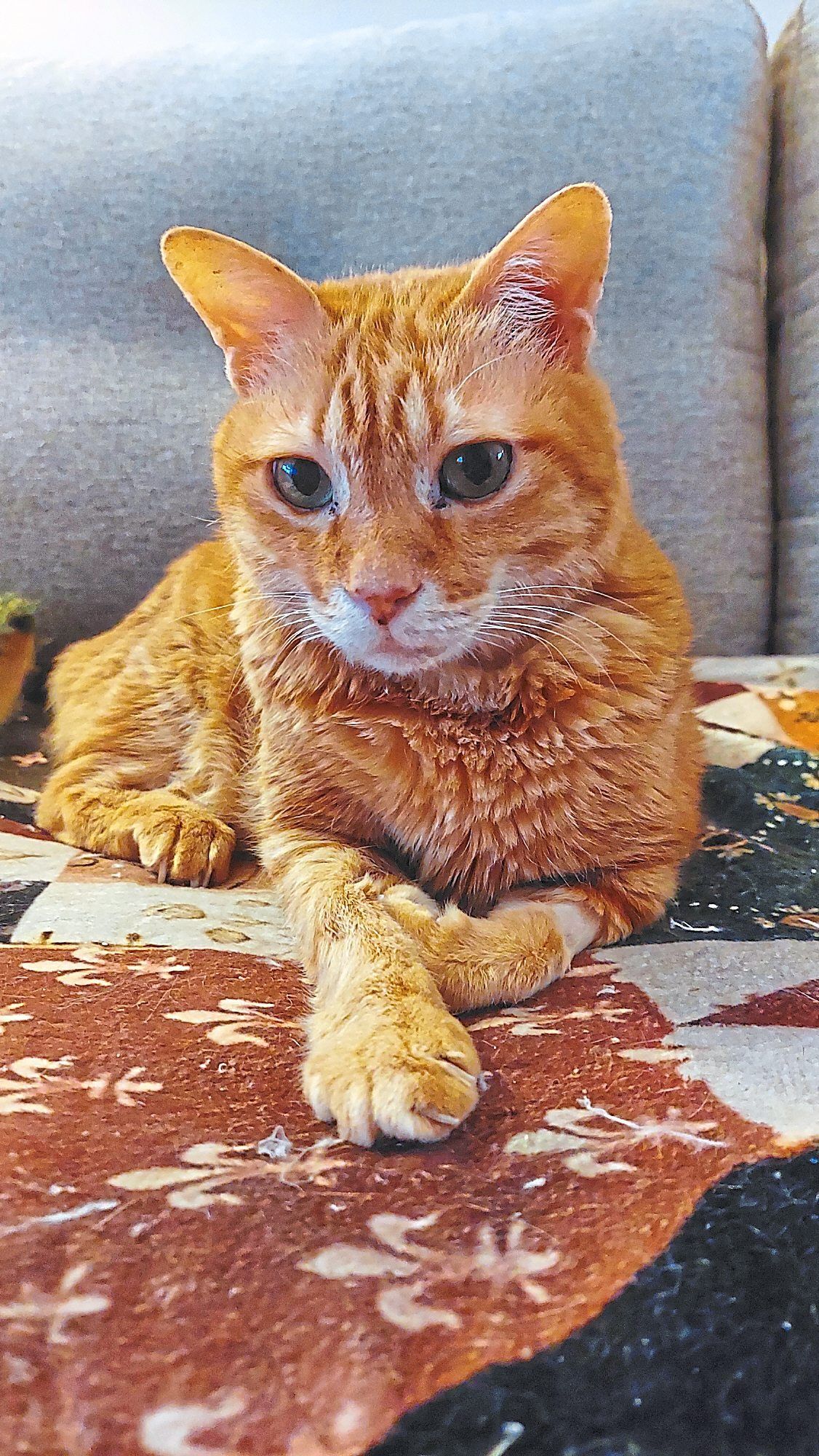 Target is now hale and hearty.