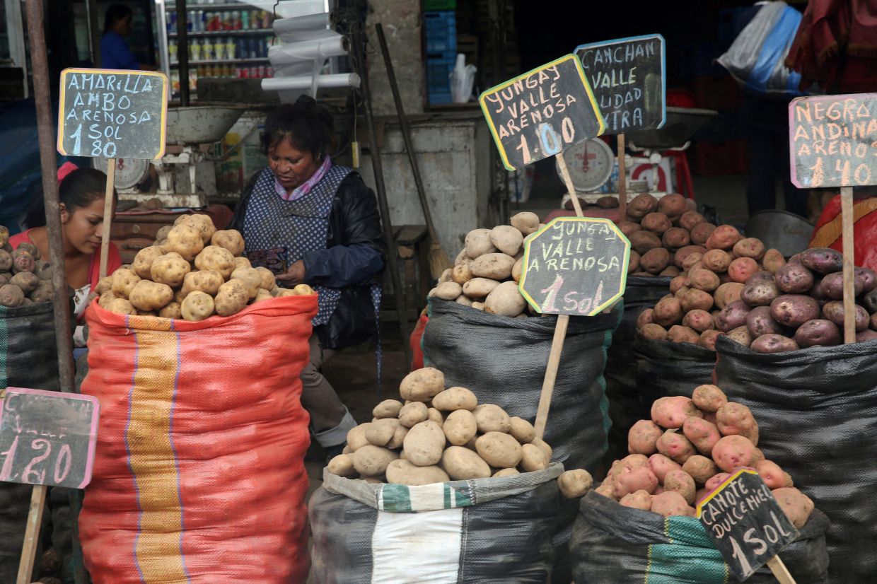 A woman sells potatoes at La Parada market in La Victoria district of Lima, Peru. — REUTERS/Mariana Bazo/File Photo