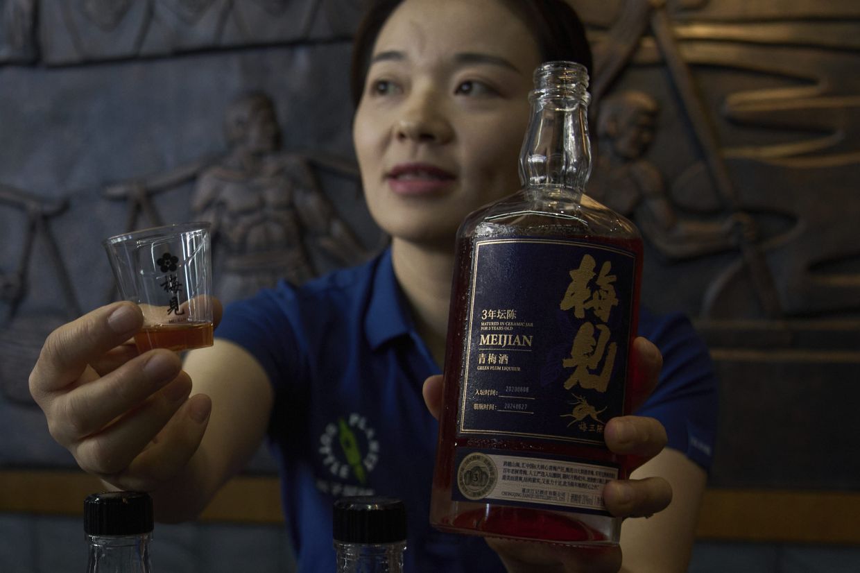A worker shows the Green Plum Liqueur, a mix handcrafted single sorghum baijiu with plum juice to reporters during a media organized tour at Jiangxiaobai Liquor Co.'s Jiangji Distillery in southwestern China's Chongqing on May 19, 2025. (AP Photo/Andy Wong)