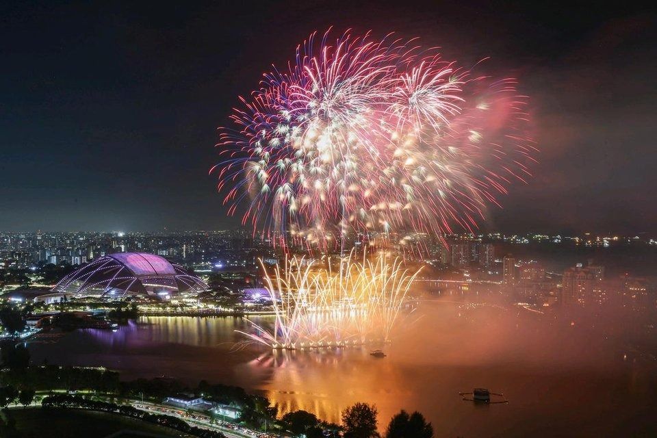 Singapore National Day fireworks: How to manage pets’ anxiety over sudden ...