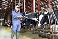 More livestock in Japan undergo online medical exams due to vet shortage
