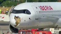 Bird strike forces Madrid-Paris flight back to the airport soon after take-off