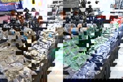Cops seize drugs worth almost RM18mil in raid on KL house