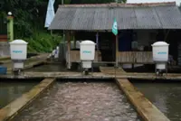 Indonesia police detain former eFishery CEO who faked data