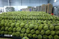 Vietnam issues food safety control procedures for exported fresh durian