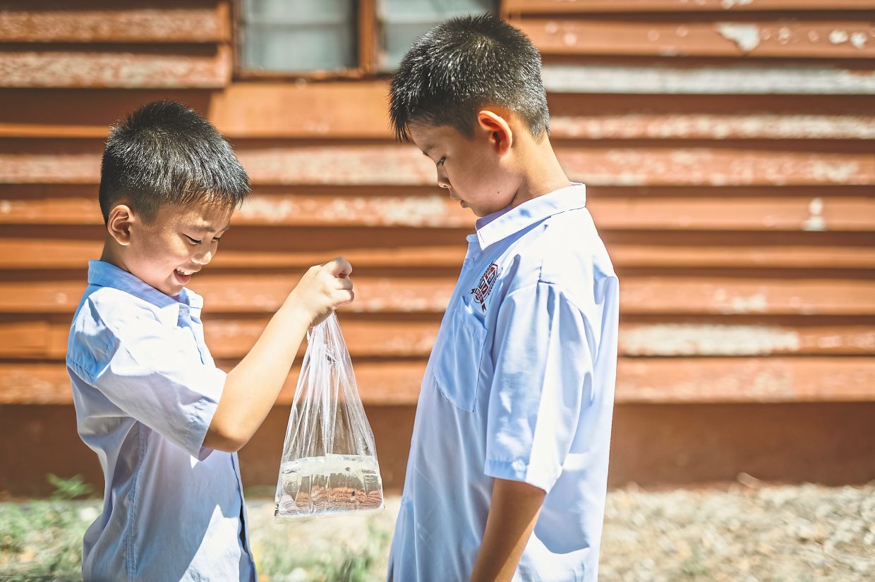 A scene from short film finalist ‘Where the Fish Looked Up’.