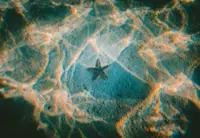 A livestream of deep sea creatures transfixes Argentina and sparks calls for refunding science
