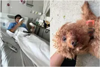 ‘It’s either my life or the dog’s’: NSF rescues lost dog that was hit by a car in Bedok, Singapore