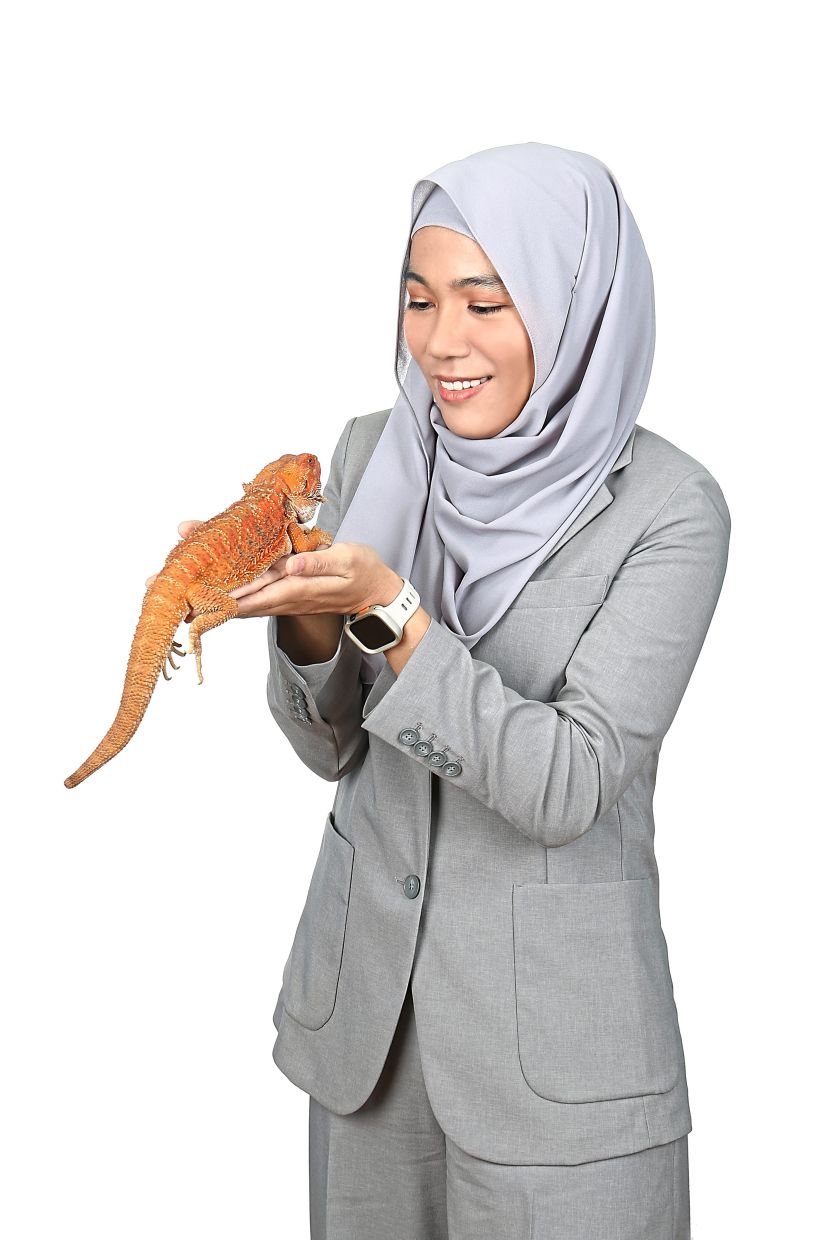 Nur Asyikin with a rescued bearded dragon. Photo: Dr NUR ASYIKIN HARON