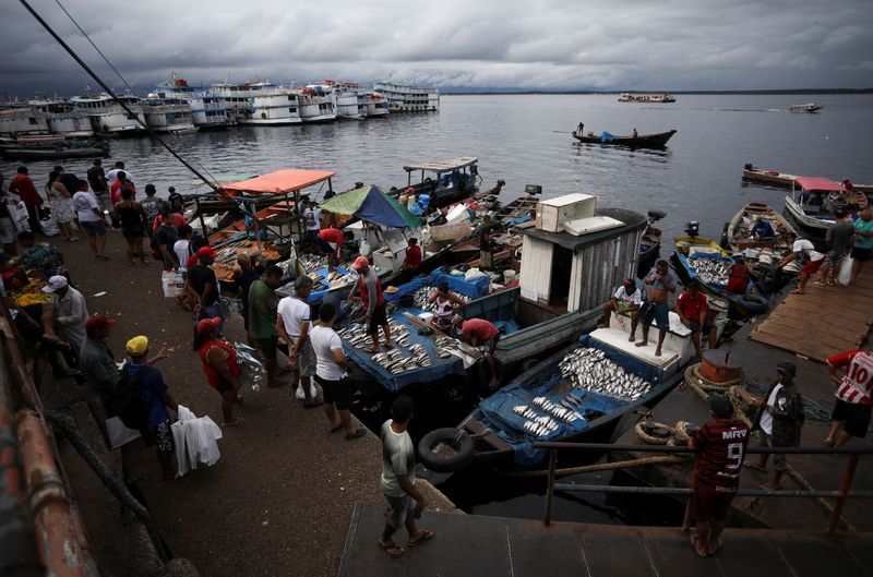 Brazil&#039;s fish industry, hit with a 50% US tariff, seeks a lifeline