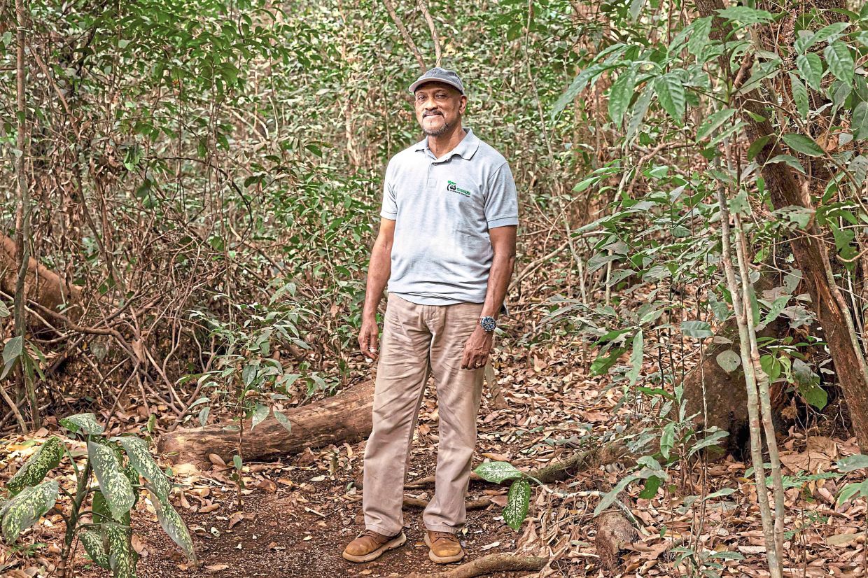 'I didn't realise the chimps would become a very important part of my life,' Bala said.