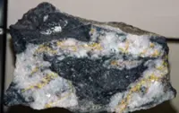 QuickCheck: Do earthquakes 'make' gold seams?