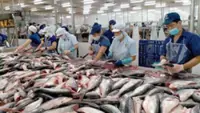 Vietnam seafood exporters face challenges but remain hopeful