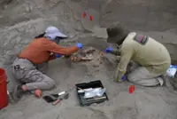 Peruvian temple offers clues into 3,000-year-old human sacrifices